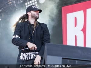 Download_Festival_2017_Christelle_Lesparre_43