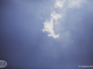 bout du monde 2018-114