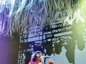 The Do Francofolies 2015 (6)-001