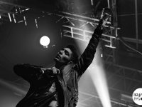 1995  - Free Music Festival 2013 - Benjamin Pavone