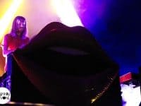 Breakbot  - Free Music Festival 2013 - Benjamin Pavone