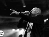 IAM   - Free Music Festival 2013 - Benjamin Pavone