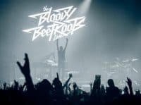 The Bloody Beetroots - Free Music 2014 - Benjamin Pavone
