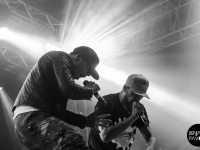 S crew - Free Music 2014