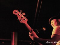 concert-the-frogjam-bordeaux_3030