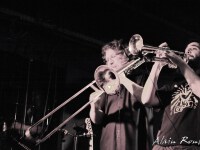 concert-the-frogjam-bordeaux_3033