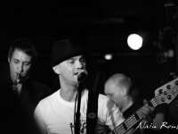 concert-the-frogjam-bordeaux_3040