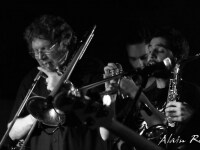 concert-the-frogjam-bordeaux_3057