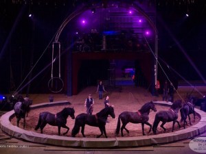 Gruss_Installation_Bordeaux_2019_022