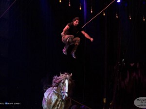 Gruss_Installation_Bordeaux_2019_027