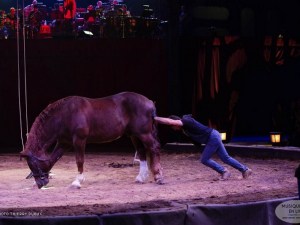 Gruss_Installation_Bordeaux_2019_030