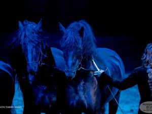 Gruss_Origines_Bordeaux_2019_015