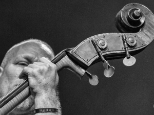 Avishai-Cohen-Trio_010