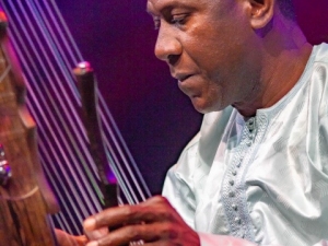 Eric-Bibb-Lamine-Cissokho-Global-Griot_031
