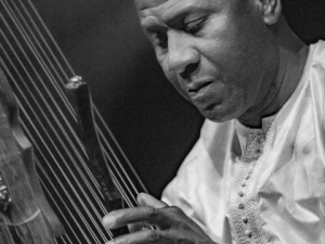 Eric-Bibb-Lamine-Cissokho-Global-Griot_033