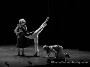 Klaus Cie - Lac des Cygnes-14