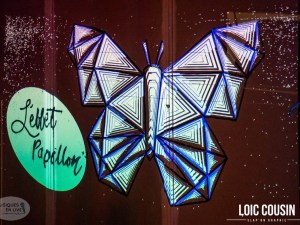 Effet_Papillon_2018_017