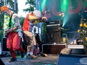 Ludwig Von 88 - La Voix Du Rock - Photo : Christelle Lesparre