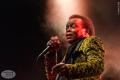 Lee Fields Toulouse 2019
