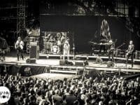 Blondie - Deferlantes 2014 - Benjamin Pavone