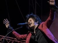 Indochine - Deferlantes 2014 - Benjamin Pavone