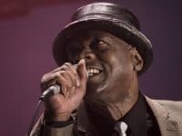 The Selecter - Deferlantes 2014 - Benjamin Pavone