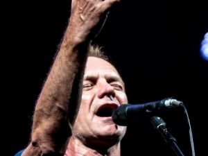 1-Sting00004