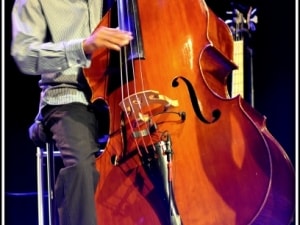 2015.05.13, Lisa Simone, Bordeaux, Salle du Vigean (5)