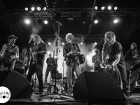 17 Hippies - Musicalarue 2014 - Benjamin Pavone