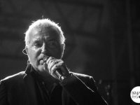 Bernard Lavilliers - Musicalarue 2014 - Benjamin Pavone