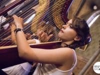 Le JOSEM - Musicalarue 2014 - Benjamin Pavone