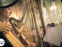 Le JOSEM - Musicalarue 2014 - Benjamin Pavone