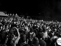 Musicalarue 2014 - Benjamin Pavone