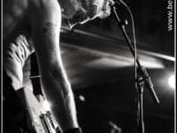 didier-wampas-sugar-et-tiger