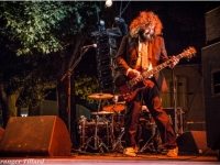 the-inspector-cluzo-2