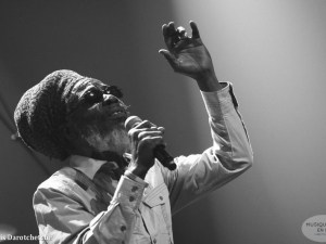 mighty-diamonds-de-palmer-cenon-2017035