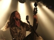 Narvalo  - l\'Accordeur