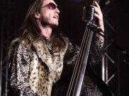 Narvalo  - l\'Accordeur