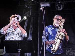 #P2N2018_CALYPSO-ROSE-13