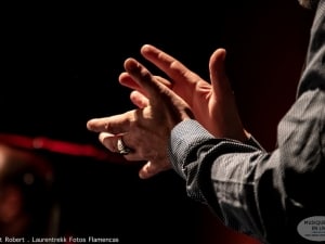 Pascual_Gallo_Marcheprime_2019_001