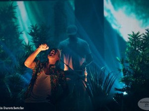 patrice-rocher-de-palmer-cenon-2017034