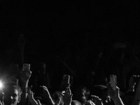 Patrice - 2014 - Rocher Palmer - Benjamin Pavone