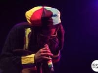 Steel Pulse