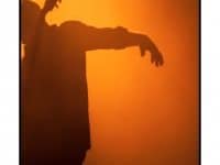 Rodolphe Burger au Rocher de Palmer