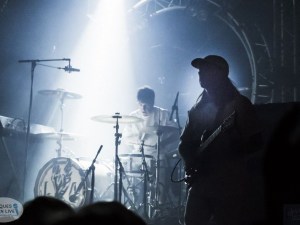 SCHMOUL 2017- LAS AVES 10