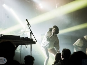 SCHMOUL 2017- LAS AVES 2