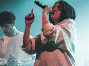 SCHMOUL 2017- LAS AVES 4