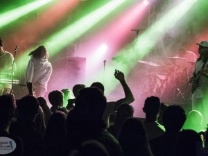 SCHMOUL 2017- LAS AVES 7