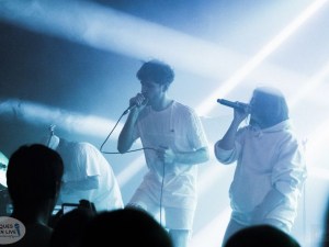 SCHMOUL 2017- LAS AVES 9