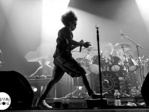 HighTone_Spiderland_02